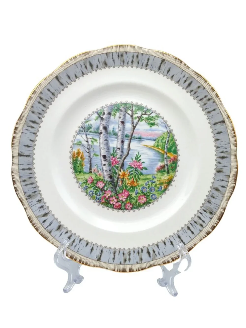 Royal Albert Silver Birch 4pc Place Setting Bone China Dinnerware England